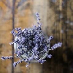 naturopathic doctor in Scottsdale to help with insomnia.